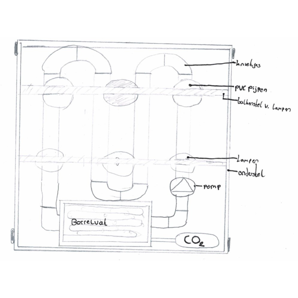 Schematische weergave van de algenreactor